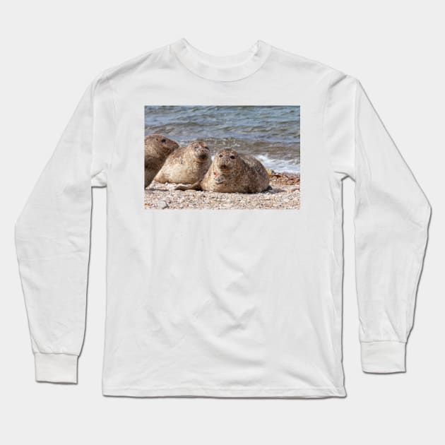 Three common seals at Portgordon Scotland Long Sleeve T-Shirt by dianecmcac